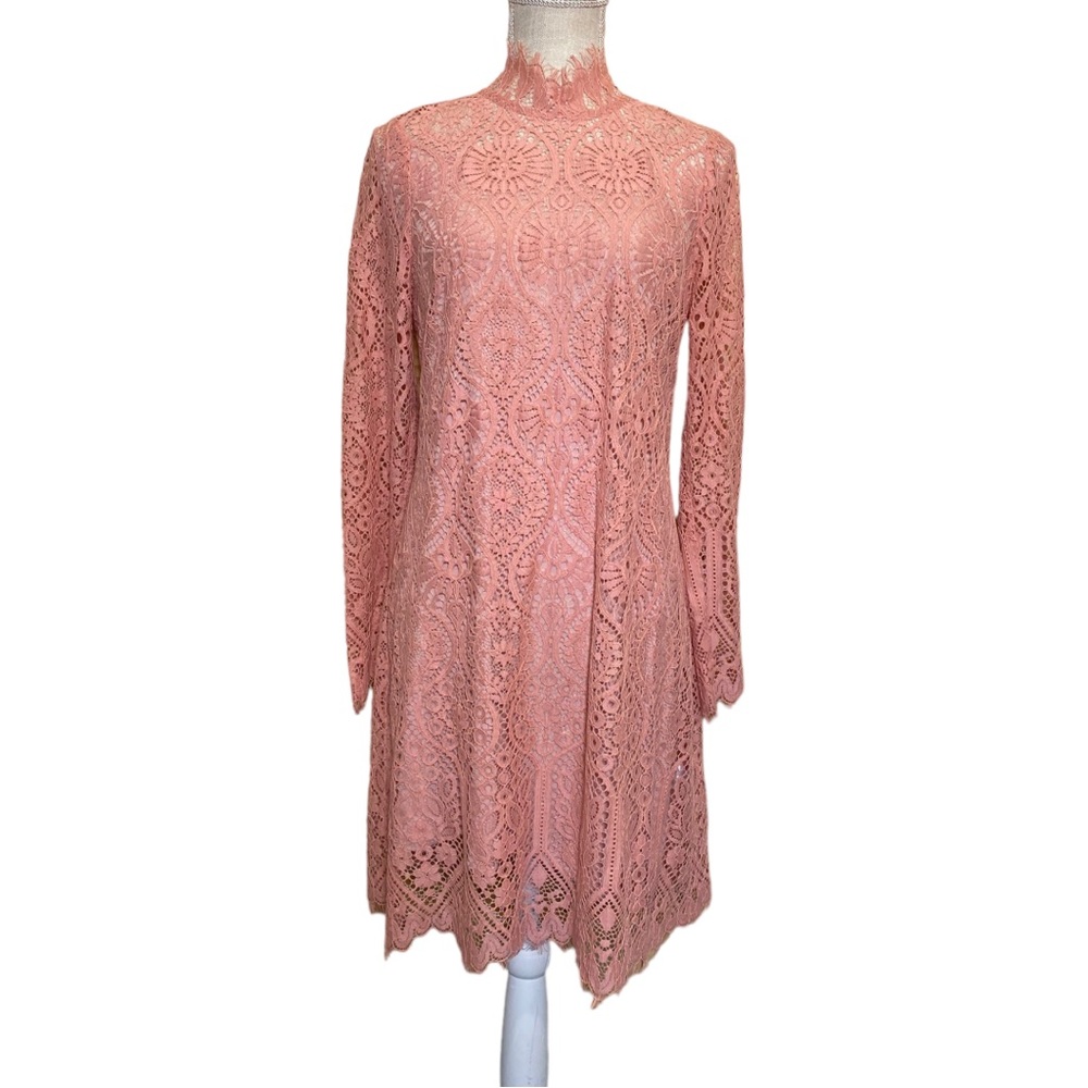 Erin Fetherston Pink Lace Dress Womens Size 8 Long Sleeves High Neck